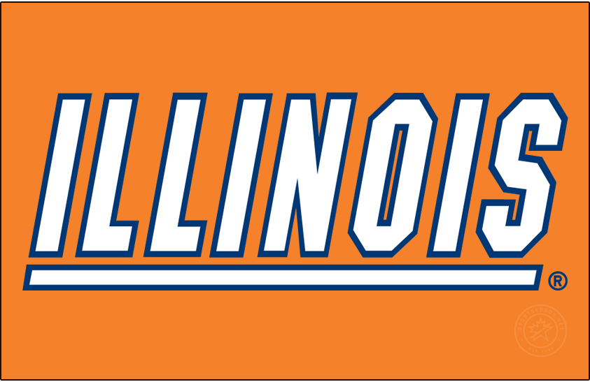 Illinois Fighting Illini 1995-2014 Primary Dark Logo diy DTF decal sticker